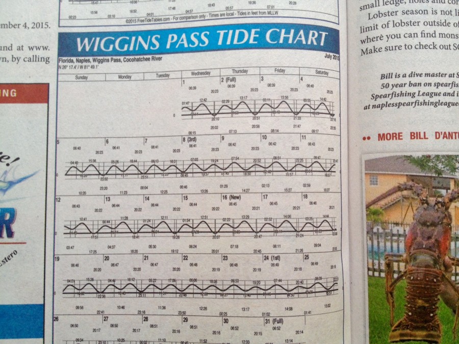 tide-chart-example-900x675.jpg
