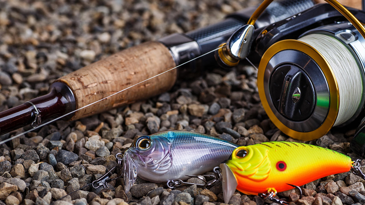 How to Fish with Lures