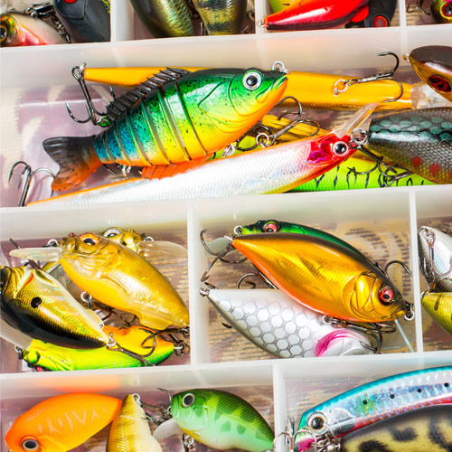 Which Saltwater Fishing Plugs You Should Use