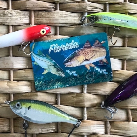 Florida fishing license with lures around