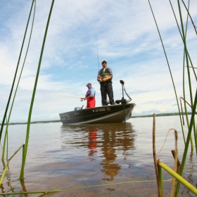 Anglers trying Carolina rig for Minnesota bass 