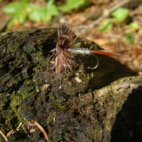 How to Cast a Dry Fly Versus a Wet Fly