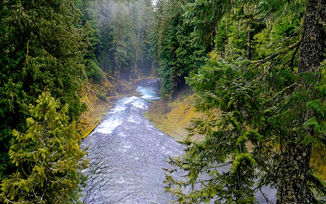 Oregon_McKenzie-River_640x400.jpg