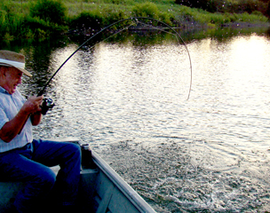 Fishing-Rod-Composition-304_1-(2).jpg Fishing-Rod-Composition-304_1-(2).jpg