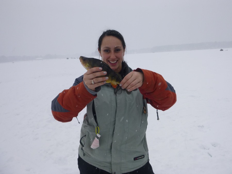 ice-fishing-perch1-900x675_1-(1).jpg ice-fishing-perch1-900x675_1-(1).jpg