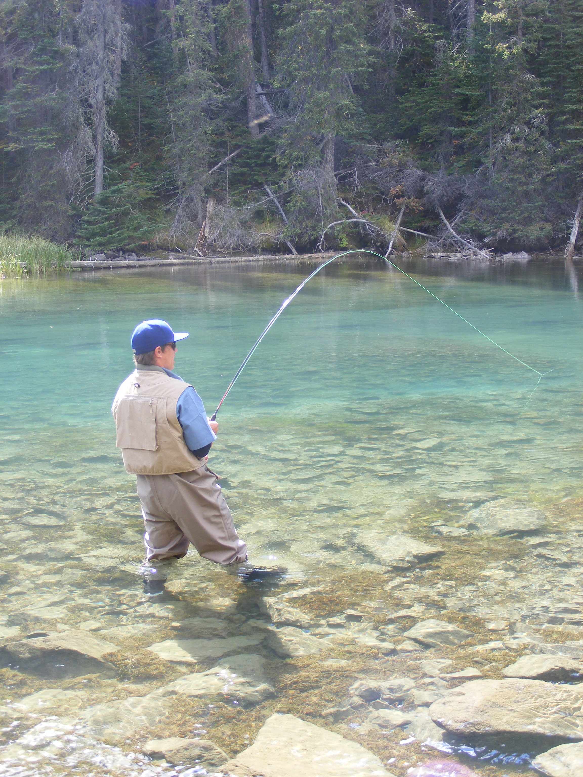 Fishing-and-catching.jpg