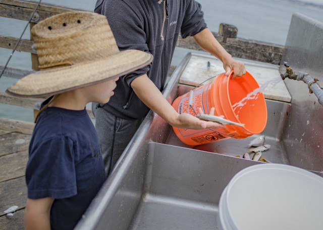 6-Watching-a-fishing-bucket.jpg