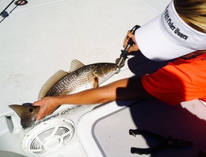 redfish-tournament-measure-300x230.jpg