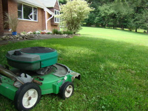 Mower.jpg