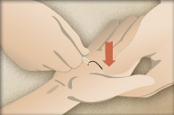 basic_first_aid_removehook02-(1).jpg basic_first_aid_removehook02-(1).jpg