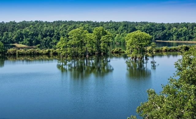 9-FL-Lake-Piney-Z-2640x391_1.jpg