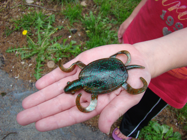 Bizarre Fish Foods - Take Me Fishing