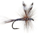 2-DRY-FLY-Image_1.jpg