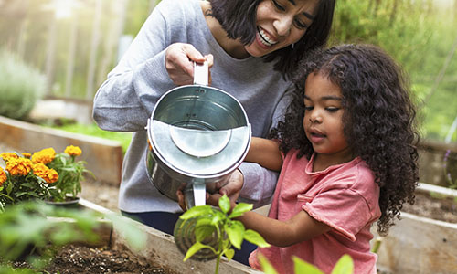 plant-garden-500x300-(1).jpg plant-garden-500x300-(1).jpg