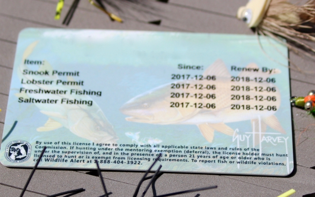 20-purchase-fishing-license-online640.jpg