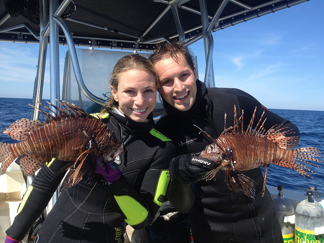 lionfish-spearfishing.jpg