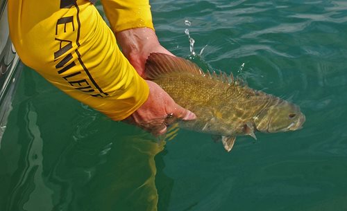 A Guide to Weights and Sinkers for Bass Fishing - Take Me Fishing