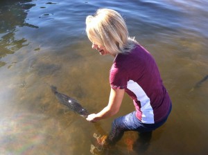 snook-release-hanson-300x224-(2).jpg snook-release-hanson-300x224-(2).jpg