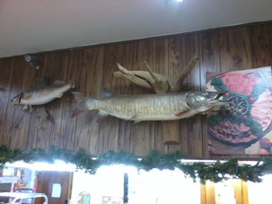 Local-Fishing-Information-Sources-E-(2).jpg Local-Fishing-Information-Sources-E-(2).jpg