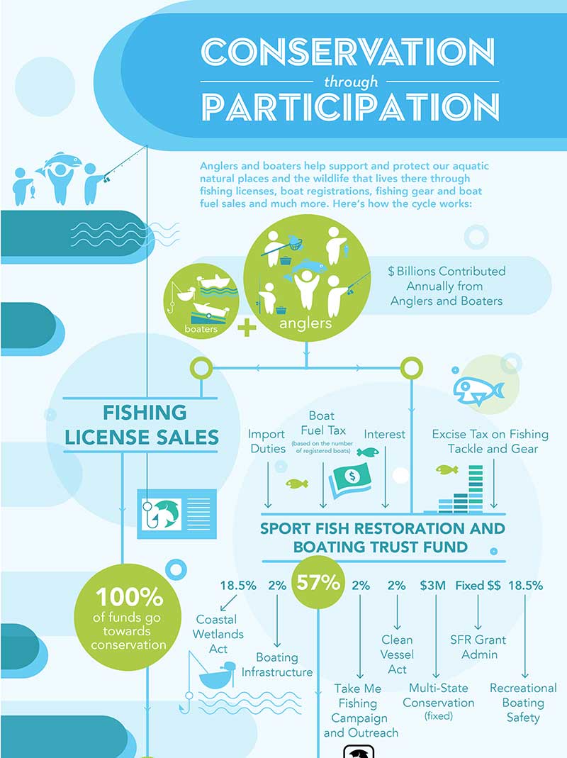 Conservation_infographic_2019-cropped.jpg