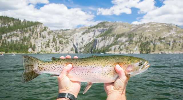 4-Take-me-fishing-holter-lake640x350.jpg