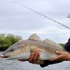 Florida Fishing in Winter: 6 Species to Target