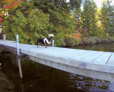 giphy-downsized-large-(1).gif giphy-downsized-large-(1).gif