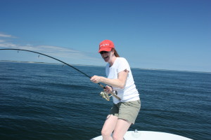 5-300x200-(2).jpg 5-300x200-(2).jpg