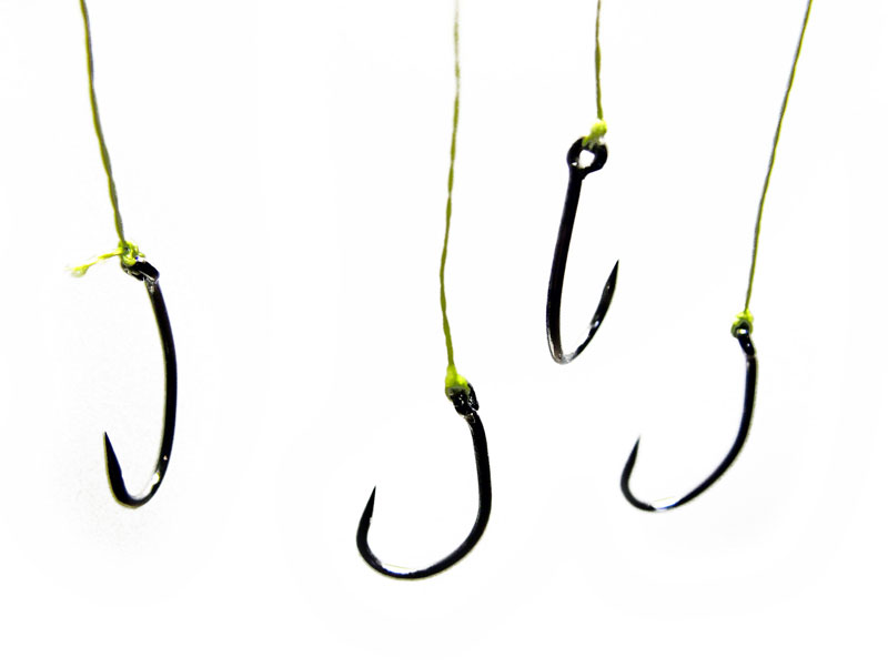 5 Benefits of Using Circle Hooks When Practicing Catch and Release