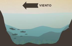 El viento y la pesca