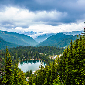 A picture of a forest and a lake