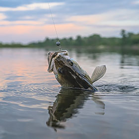 fishing for walleye 