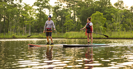 Paddles-540x280.jpg