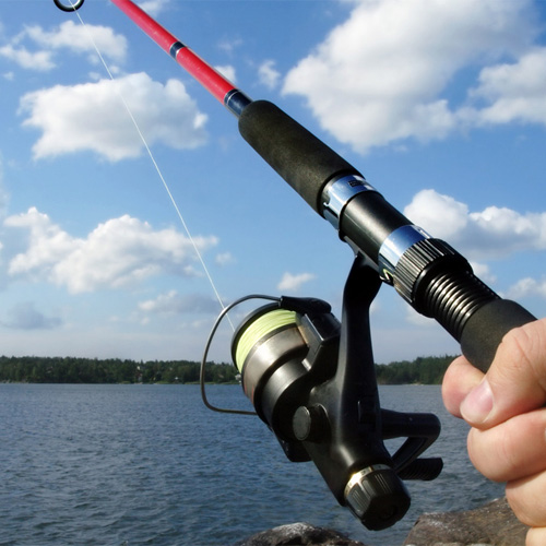 Get a Kansas Fishing License