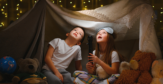 Fort-540x280-(1).jpg Fort-540x280-(1).jpg