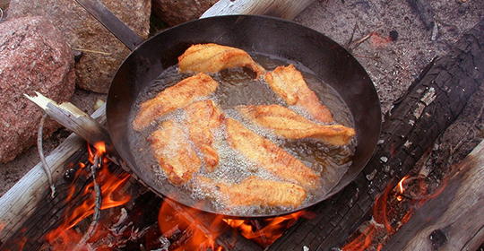 Fried-catfish-540x280.jpg