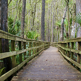 Photo of hiking trail