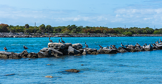 Sebastian-FL-540x280.jpg Sebastian-FL-540x280.jpg