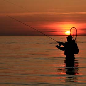 Places To Fish in Mississippi