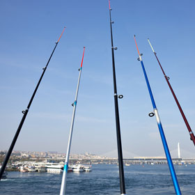 Buy the best fishing rod today