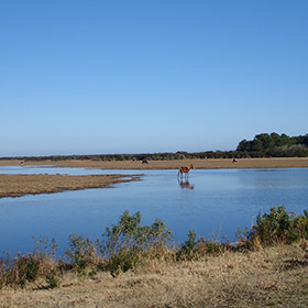 national wildlife refuge