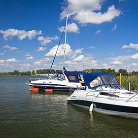 Boats in a marina