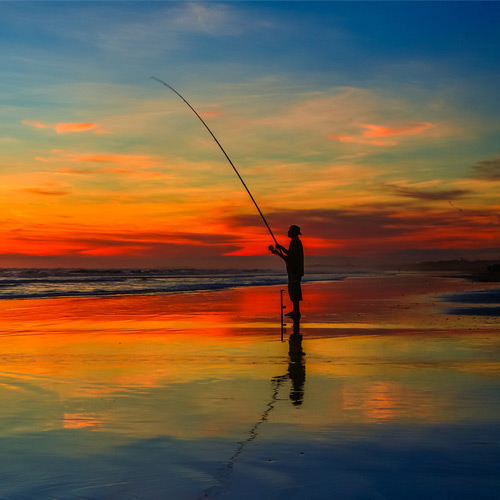 Shore Fishing - Take Me Fishing