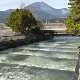 Fish Ladders