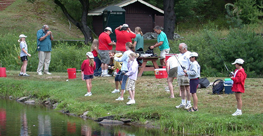 Picture2-540x280.jpg Picture2-540x280.jpg