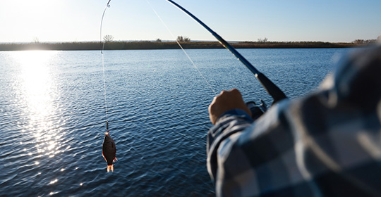 Hand-fishing-540x280.jpg