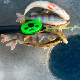 Devils Lake Ice Fishing tips to catch perch