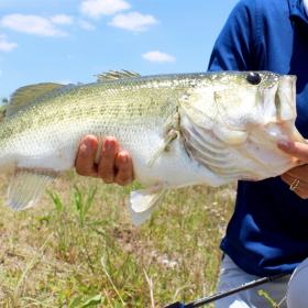 female angler holding a largemouth bass