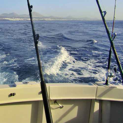 Picture of fishing rods and reels on a boat that is offshore