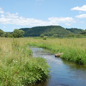 fishing for trout in minnesota